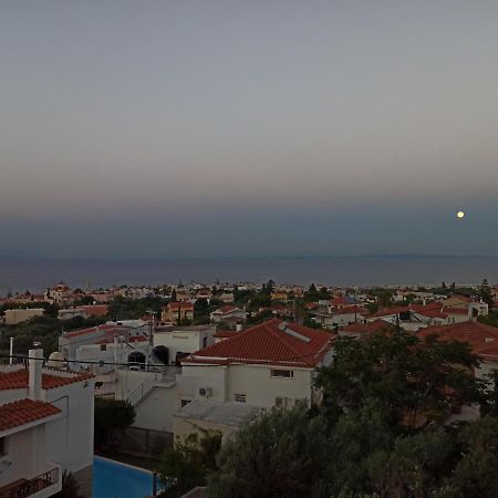 Maris Full Apartment With Roof Garden Access Chio Esterno foto